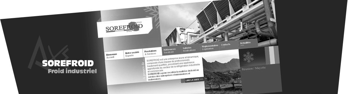 Mogamat - AxeDesign SARL - Création, hébergement et référencement de sites Internet à la Réunion