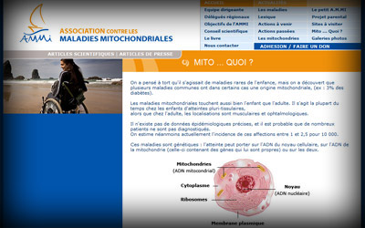 Page intérieure AMMi (Association contre les Maladies Mitochondriales) - Axedesign - Création site Internet Réunion/Hébergement site Internet Réunion/Référencement site Internet Réunion