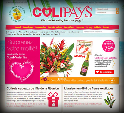 Accueil Colipays - Axedesign - Création site Internet Réunion/Hébergement site Internet Réunion/Référencement site Internet Réunion