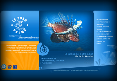 Accueil Le Dodo Palm� - Axedesign - Cr�ation site Internet R�union/H�bergement site Internet R�union/R�f�rencement site Internet R�union