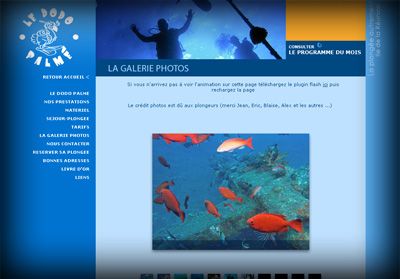 Autre visuel Le Dodo Palm� - Axedesign - Cr�ation site Internet R�union/H�bergement site Internet R�union/R�f�rencement site Internet R�union