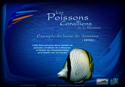 Page int�rieure ETIC/Annuaire - Axedesign - Cr�ation site Internet R�union/H�bergement site Internet R�union/R�f�rencement site Internet R�union