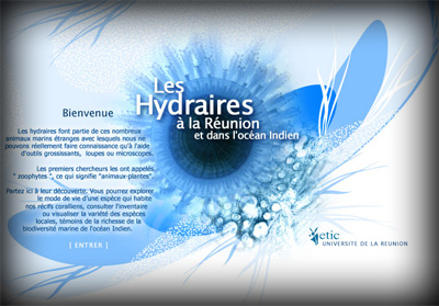 Page int�rieure ETIC/Herbier Universitaire - Axedesign - Cr�ation site Internet R�union/H�bergement site Internet R�union/R�f�rencement site Internet R�union